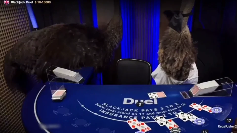 A costume session at the Duel blackjack table