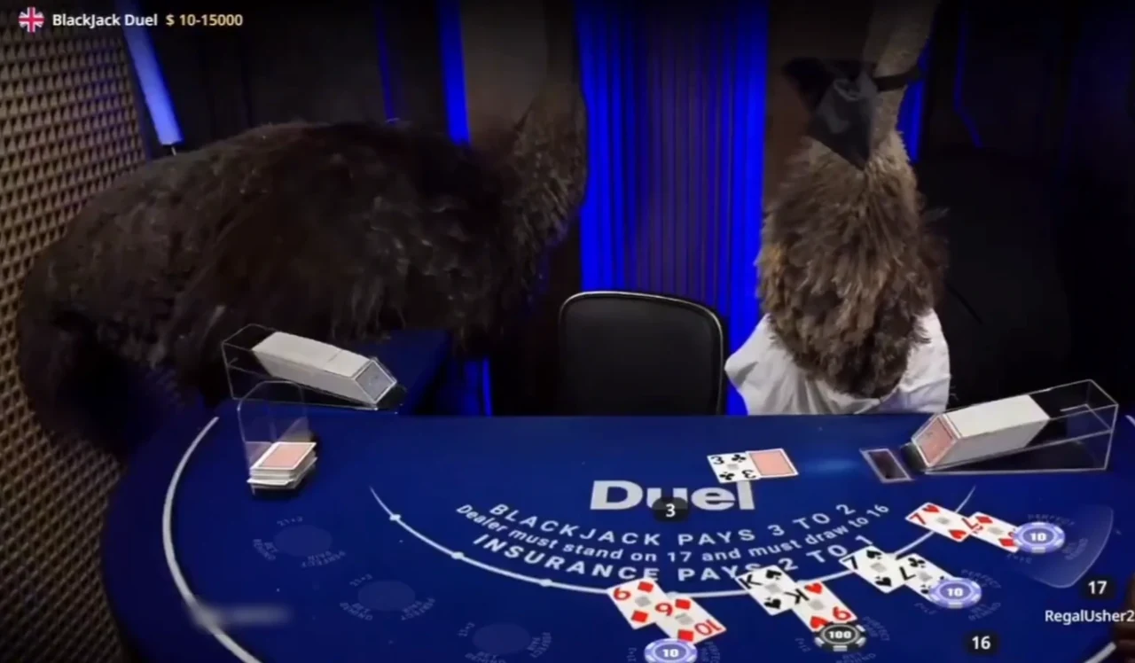 Two ostriches at the Duel blackjack table with the shoe and cards in play
